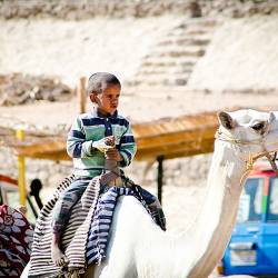 2011-11-05 Dahab