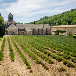 2018-06-16 Abbaye Notre Dame de Senanque