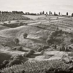 2013-05-03 Castiglione d'Orcia