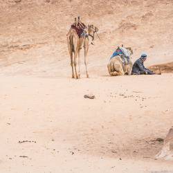 2016-01-26 Wadi Rum