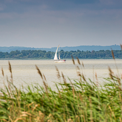 2019-07-14 Balaton