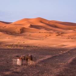 2013-10-11 Merzouga