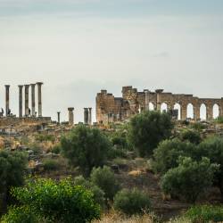 2013-10-03 Volubilis