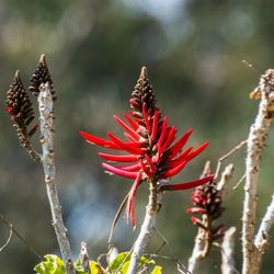 2019-02-05 Paseo de las Esculturas