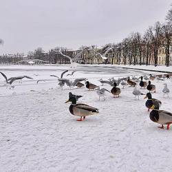 2010-01-10 Schwerin