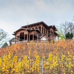 2017-10-31 Grébovka