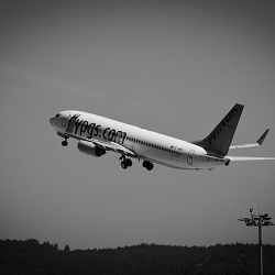 planes: Peagasus Airlines