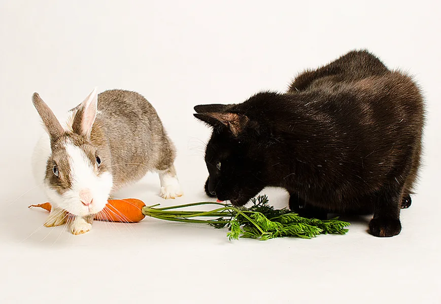 Bibina & Oskar