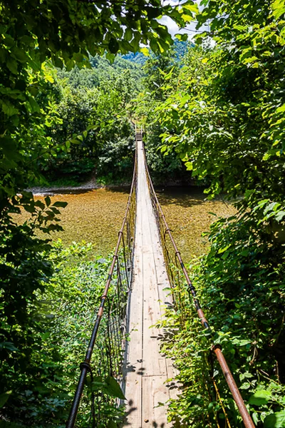 Balkan-2019-07-19-Boracko-Pivsko-jezero_025-Ladanica
