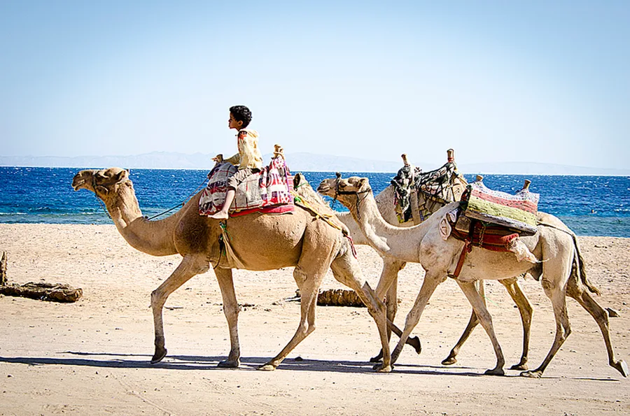Dahab