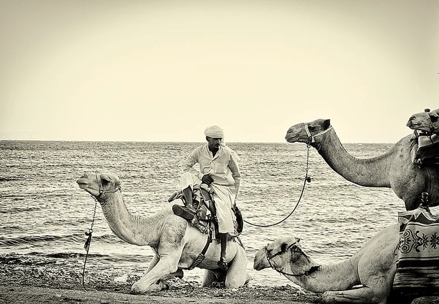 Dahab