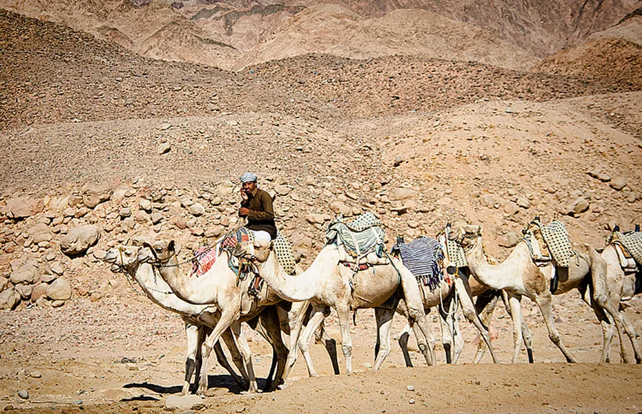 Dahab