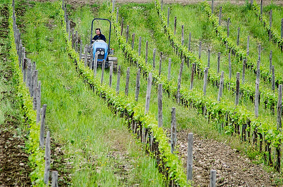 Radda in Chianti