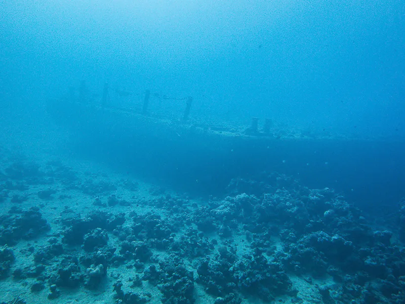 Aqaba - Wreck Cedar Pride