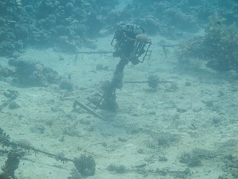 Aqaba - Black Rock