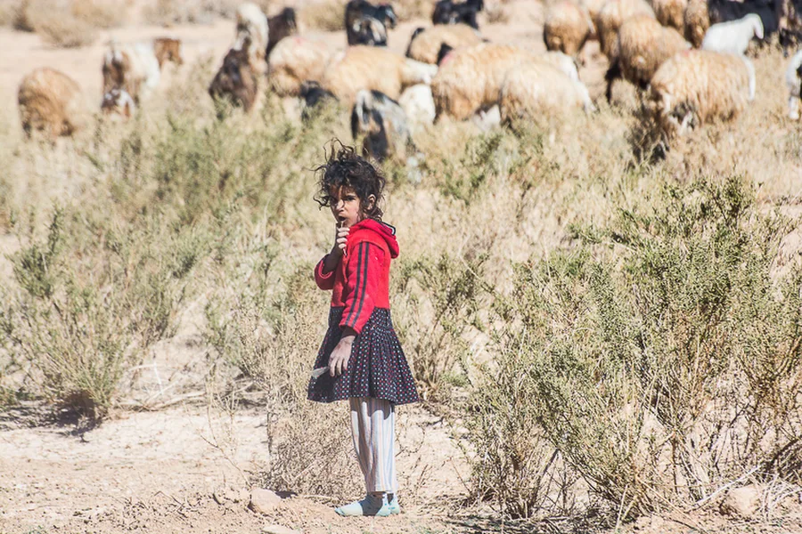 Jordansko2016_1315v