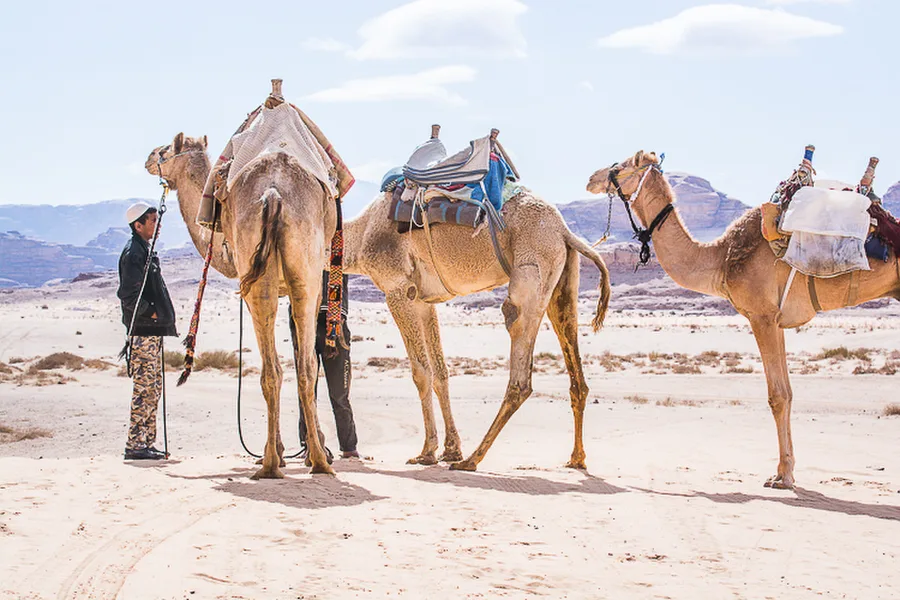 Wadi Rum