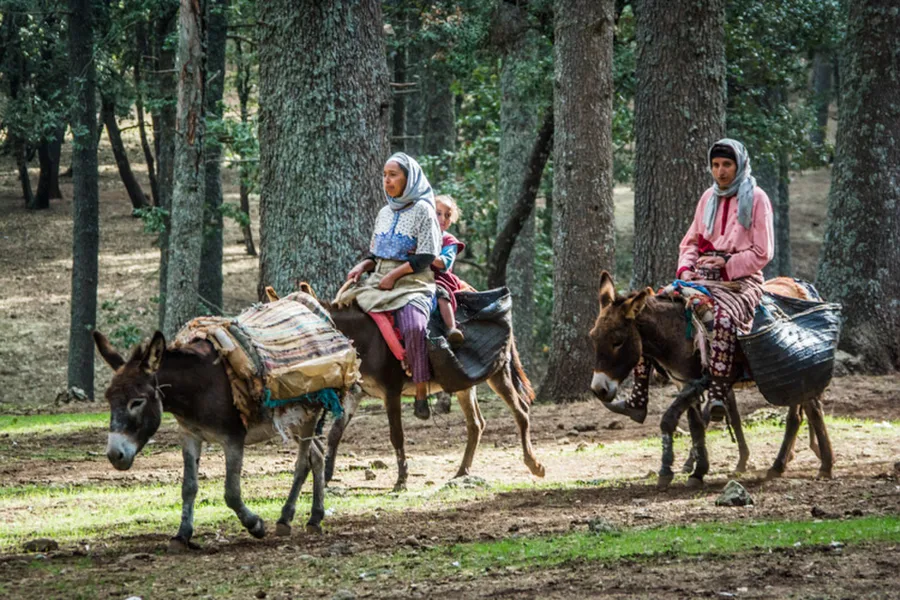 Azrou