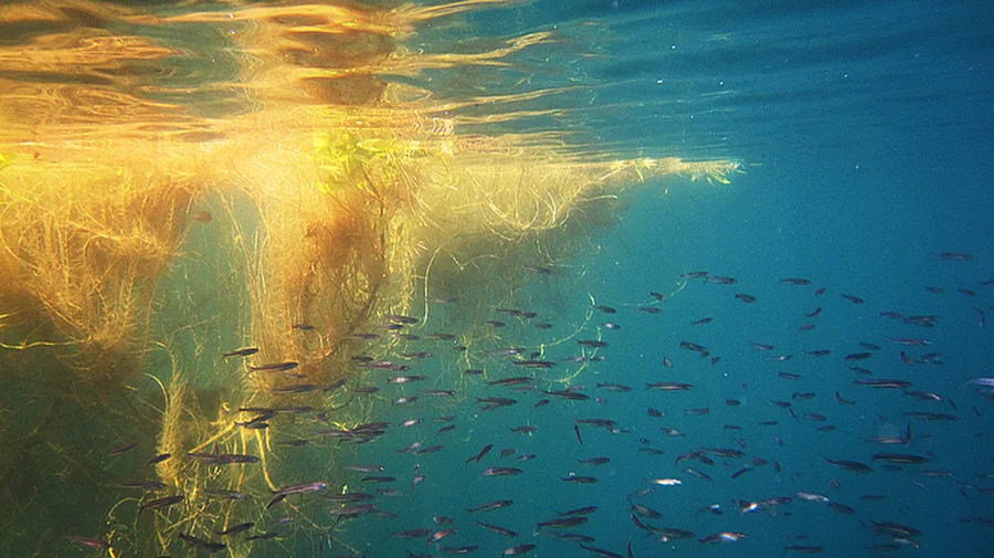 Cenote Azul