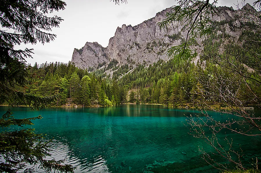 Grüner See