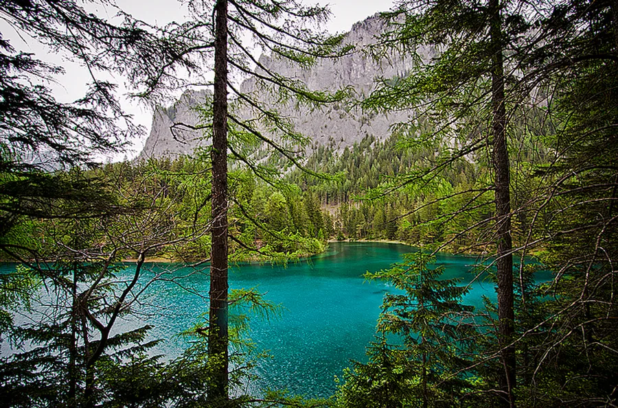 Grüner See