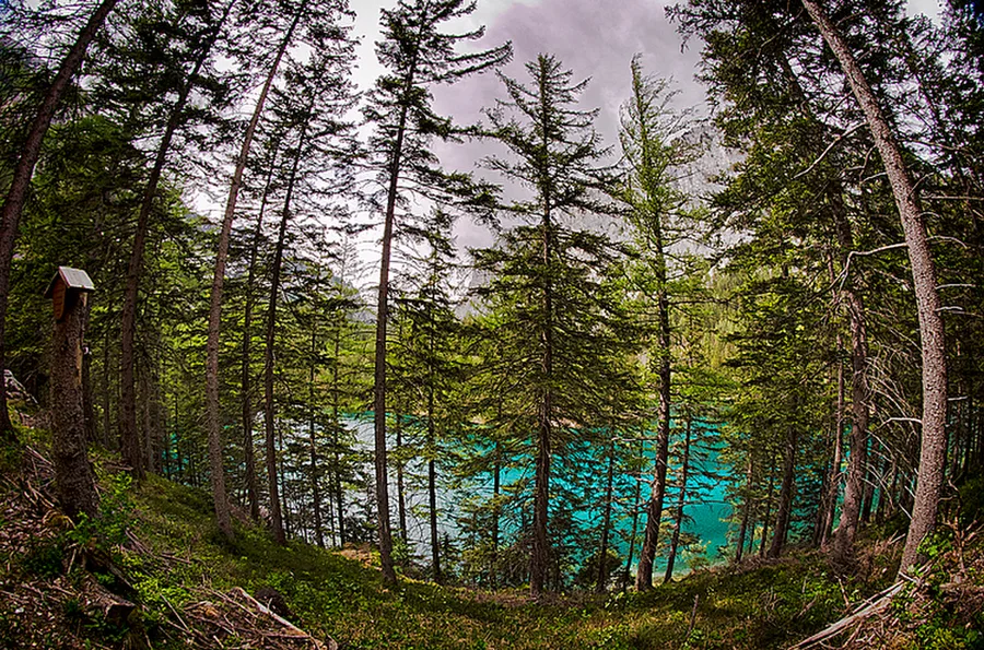 Grüner See