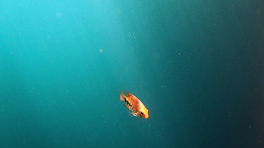 Cenote Azul