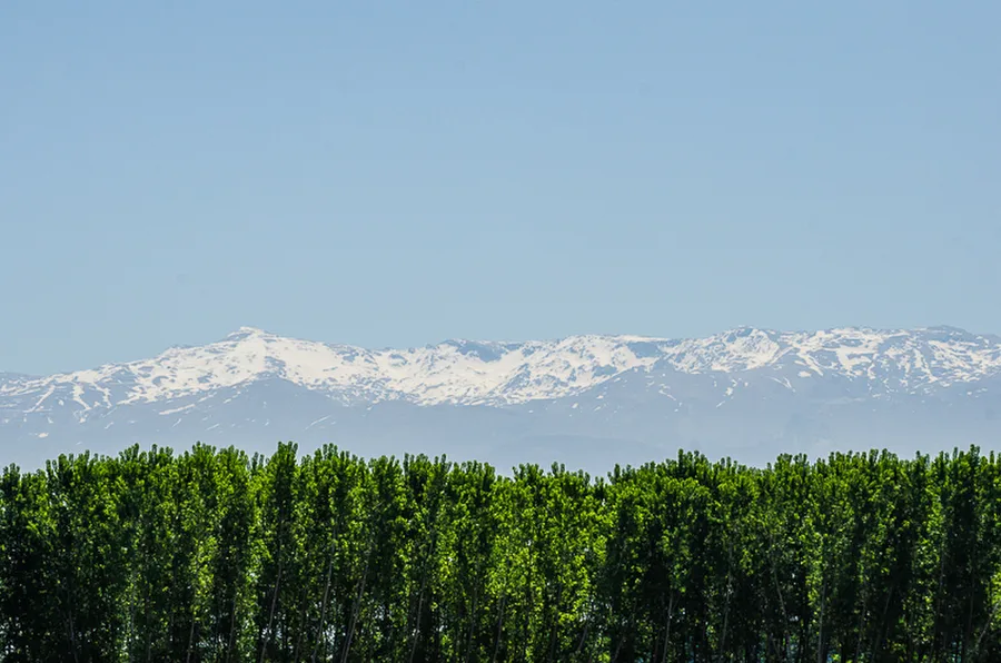 Maroko_2015_32--36-den_Mdiq-Evropa_257