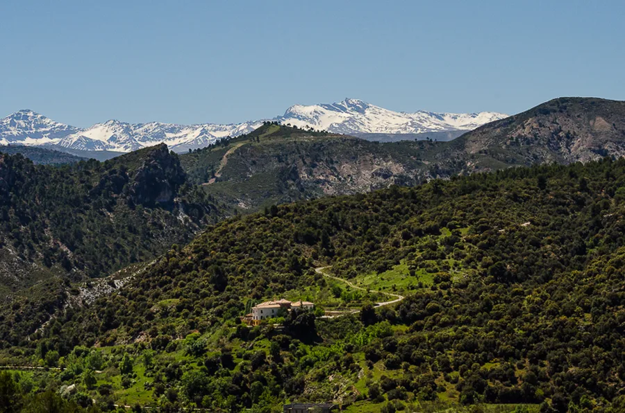 Maroko_2015_32--36-den_Mdiq-Evropa_271