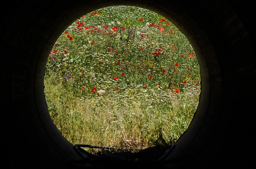 Maroko_2015_32--36-den_Mdiq-Evropa_290