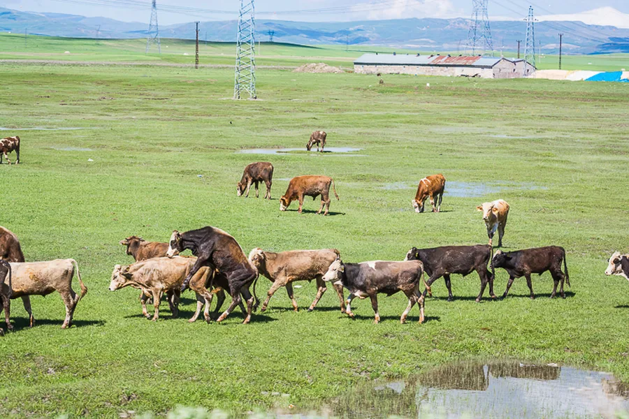 turecko-roadtrip-turkey-2017_084