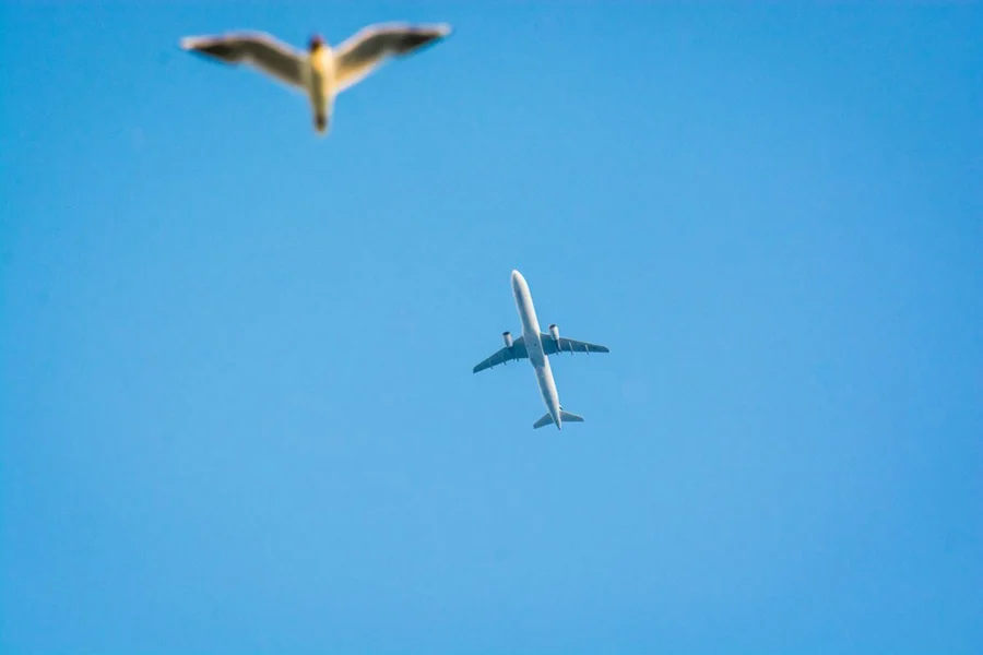letadla: Air France-KLM