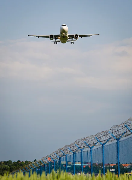 letadla: TAP Portugal